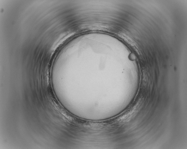 X0000088210782200706121804