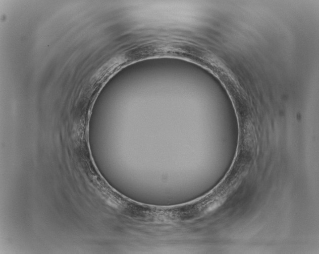 X0000088210785200706121804