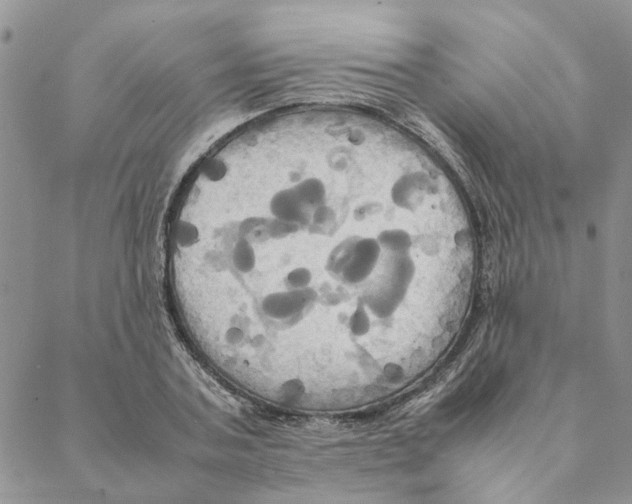 X0000088210787200706121804