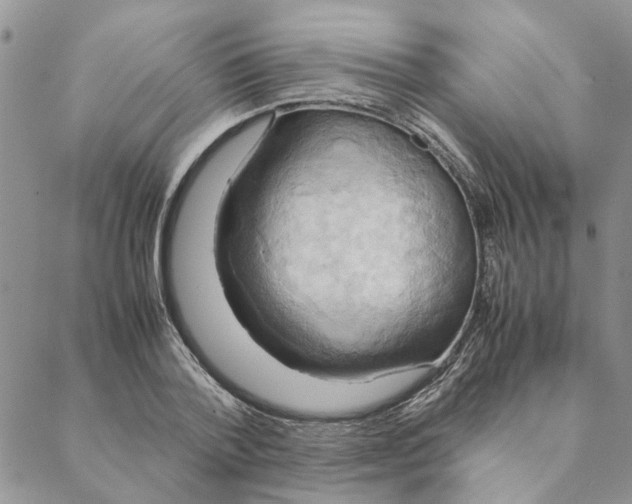 X0000088210788200706121804