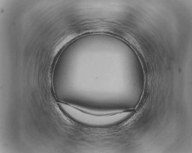 X0000088210789200706121804