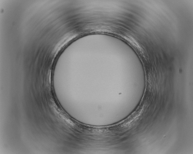 X0000088210790200706121804