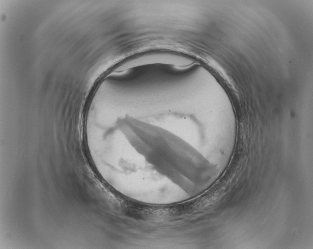 X0000088210791200706121804