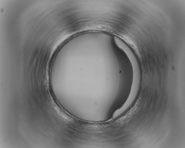 X0000088210792200706121804