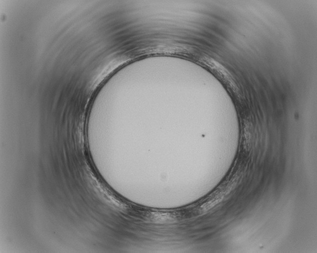 X0000088210794200706121804