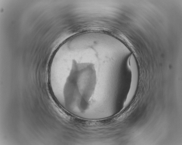 X0000088210795200706121804