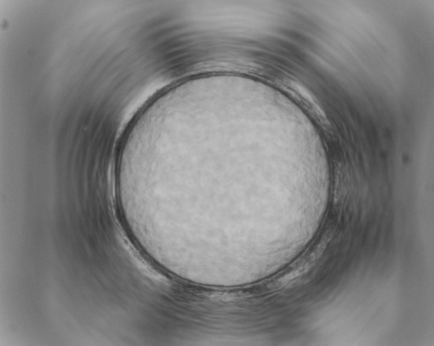 X0000088210796200706121804