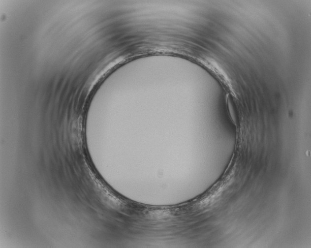 X0000088210798200706121804