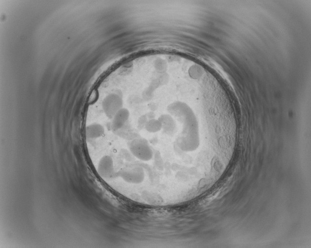 X0000088210799200706121804