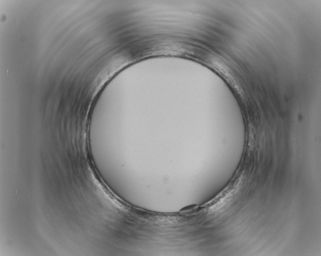 X0000088210802200706121804