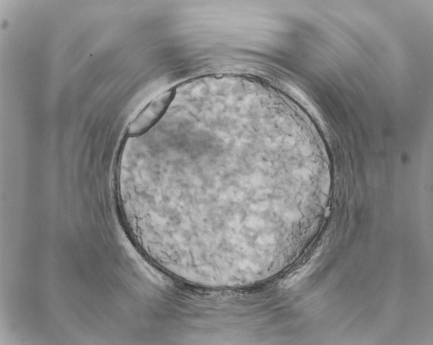 X0000088210803200706121804