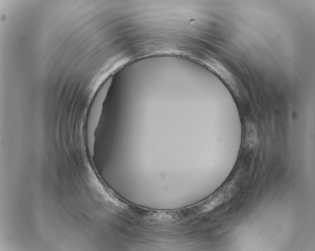 X0000088210806200706121804