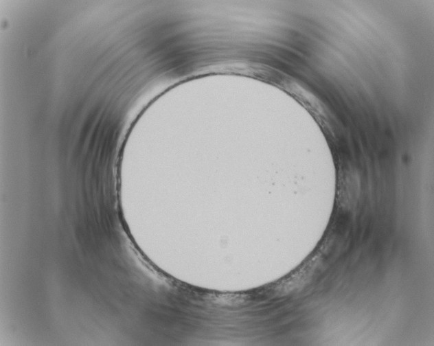 X0000088210808200706121804