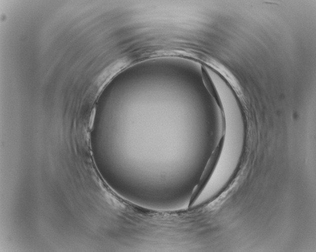 X0000088210809200706121804