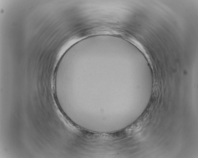 X0000088210811200706121804