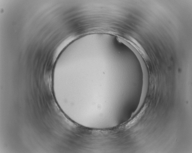 X0000088210812200706121804