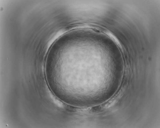 X0000088210813200706121804