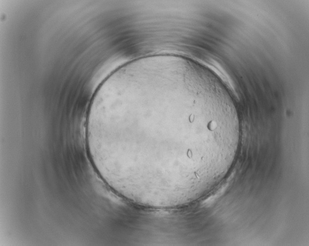 X0000088210814200706121804