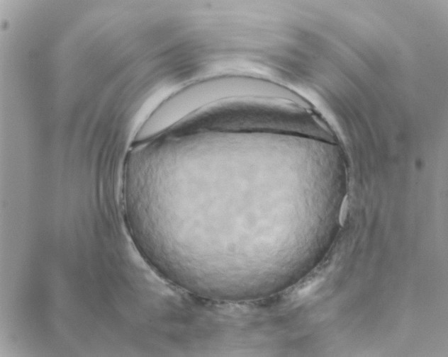 X0000088210815200706121804