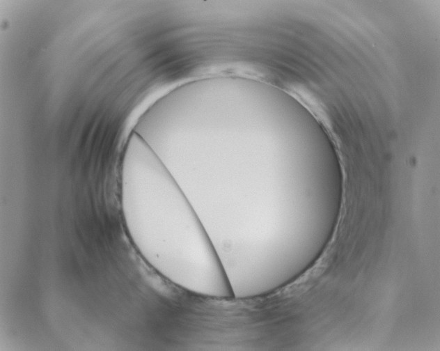 X0000088210816200706121804