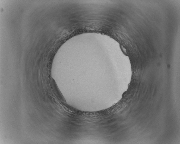 X0000088210817200706121803