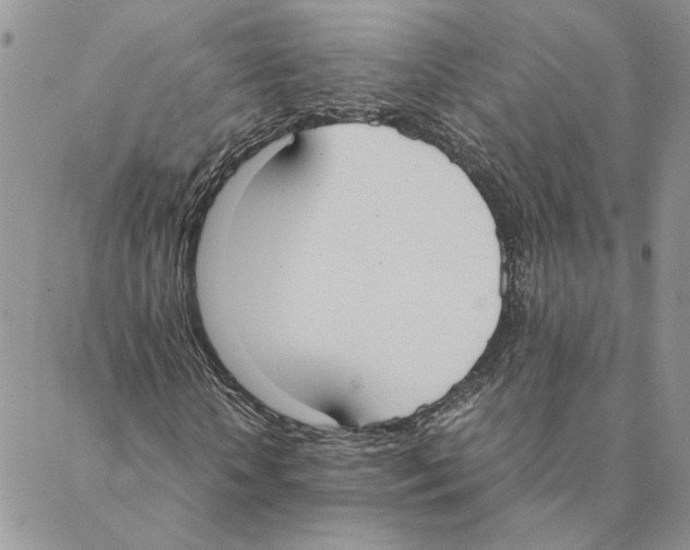 X0000088210818200706121803