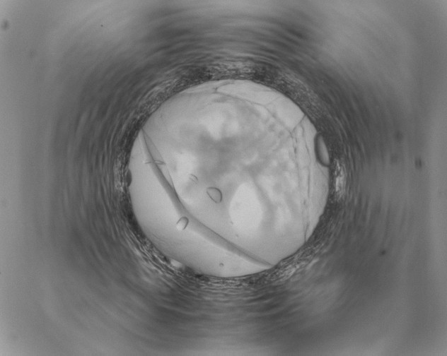 X0000088210819200706121803