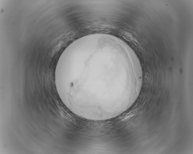 X0000088210820200706121803