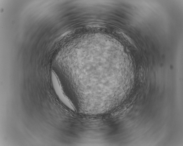 X0000088210821200706121803