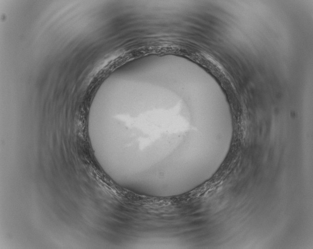 X0000088210823200706121803