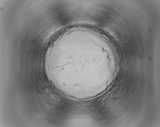 X0000088210824200706121803