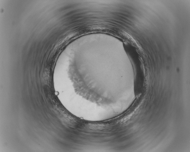 X0000088210825200706121803