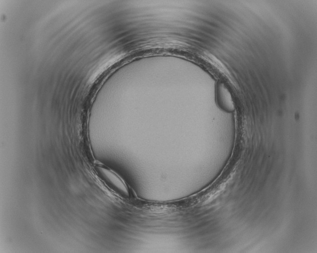 X0000088210826200706121803