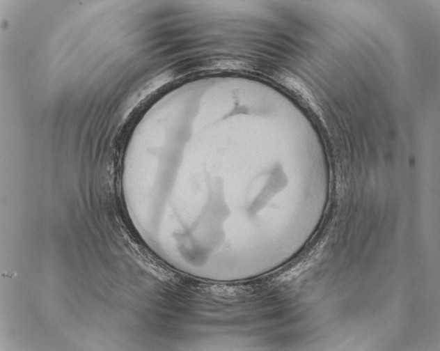 X0000088210827200706121803