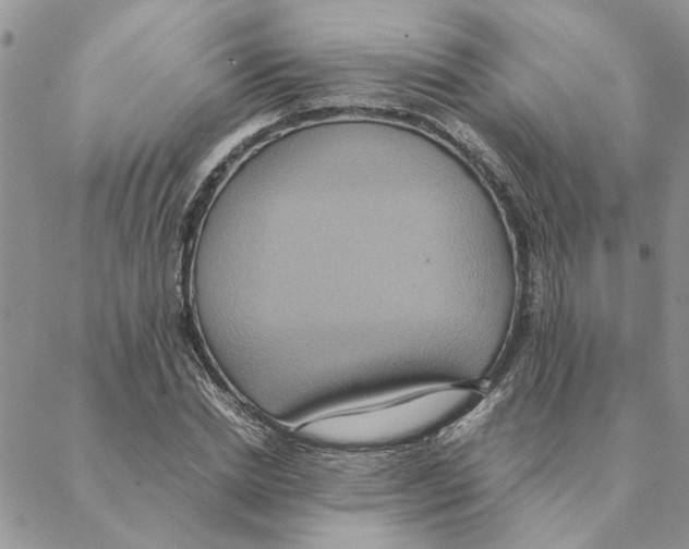 X0000088210830200706121803