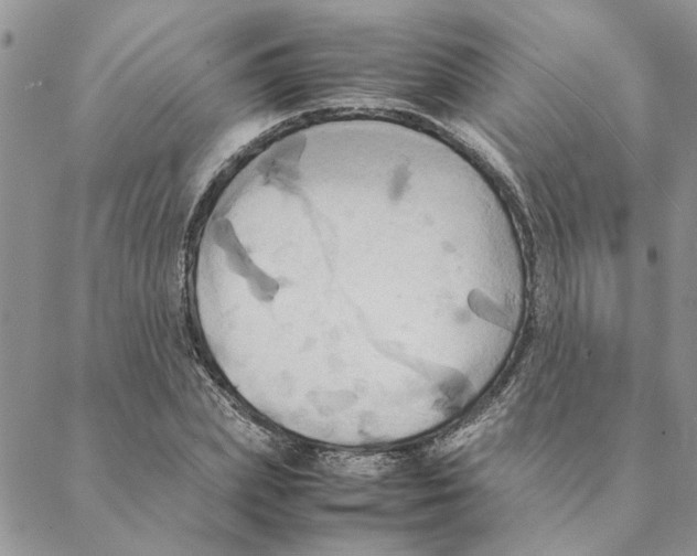 X0000088210831200706121803