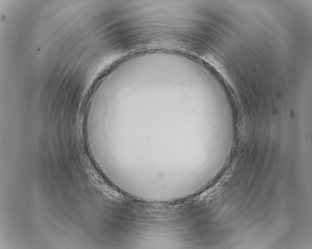 X0000088210832200706121803