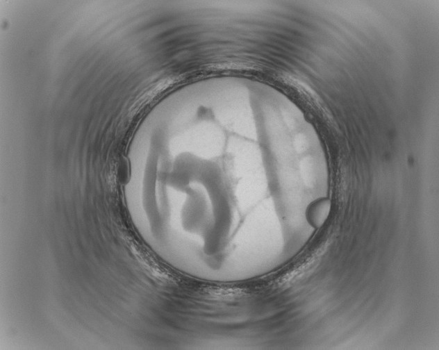 X0000088210833200706121803