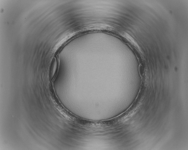 X0000088210834200706121803