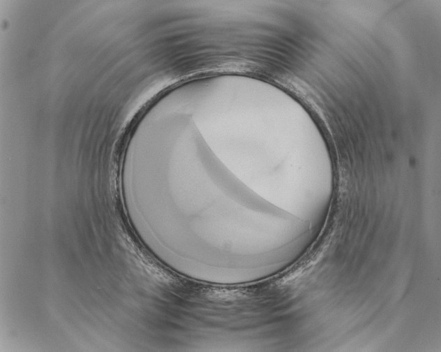 X0000088210835200706121803