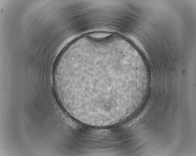 X0000088210837200706121803