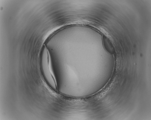 X0000088210838200706121803