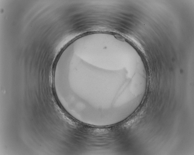 X0000088210839200706121803