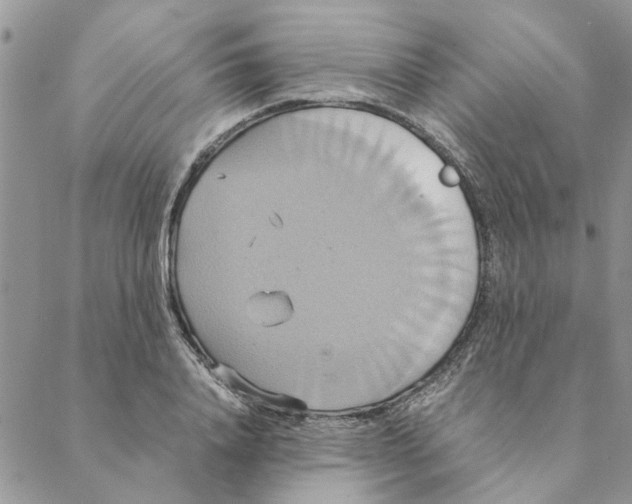 X0000088210840200706121803