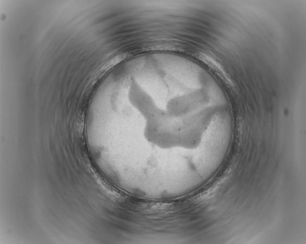 X0000088210841200706121803