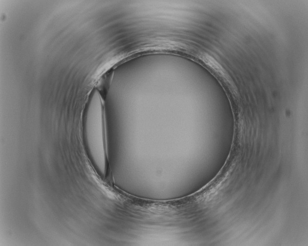 X0000088210842200706121803