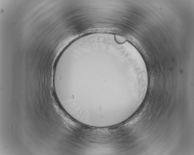 X0000088210844200706121803