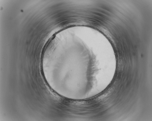 X0000088210845200706121803