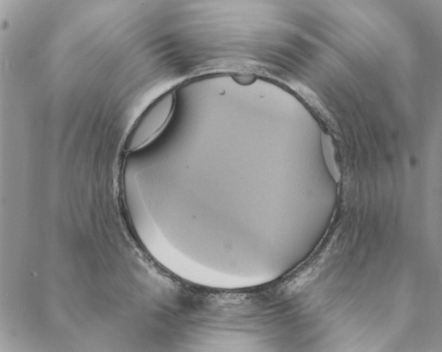 X0000088210846200706121803