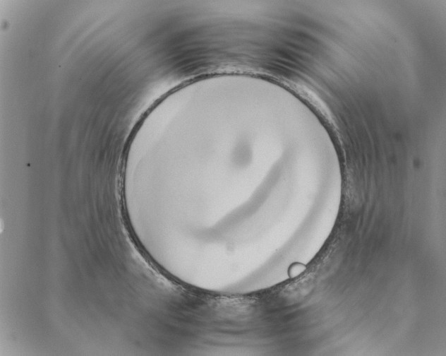 X0000088210847200706121803